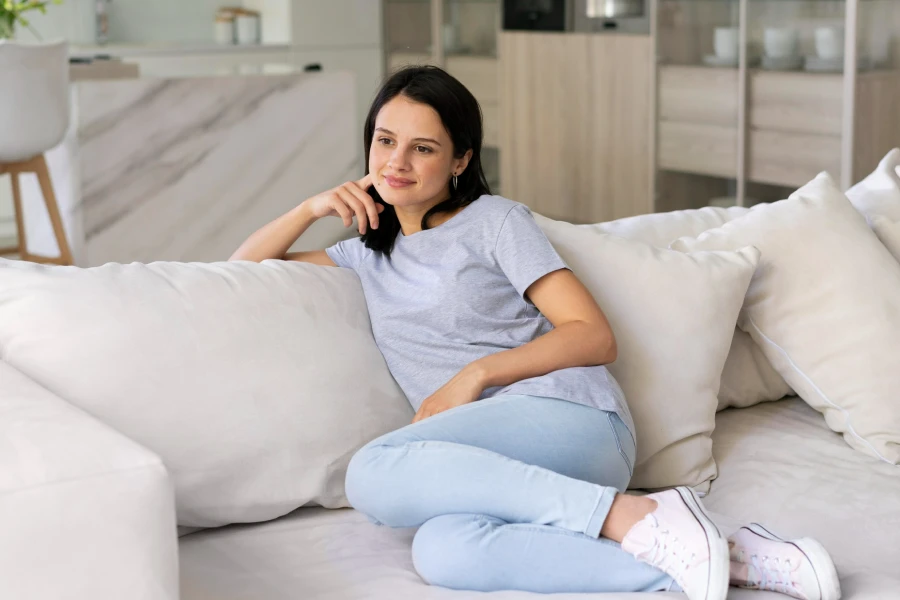 aircare evaporative humidifier