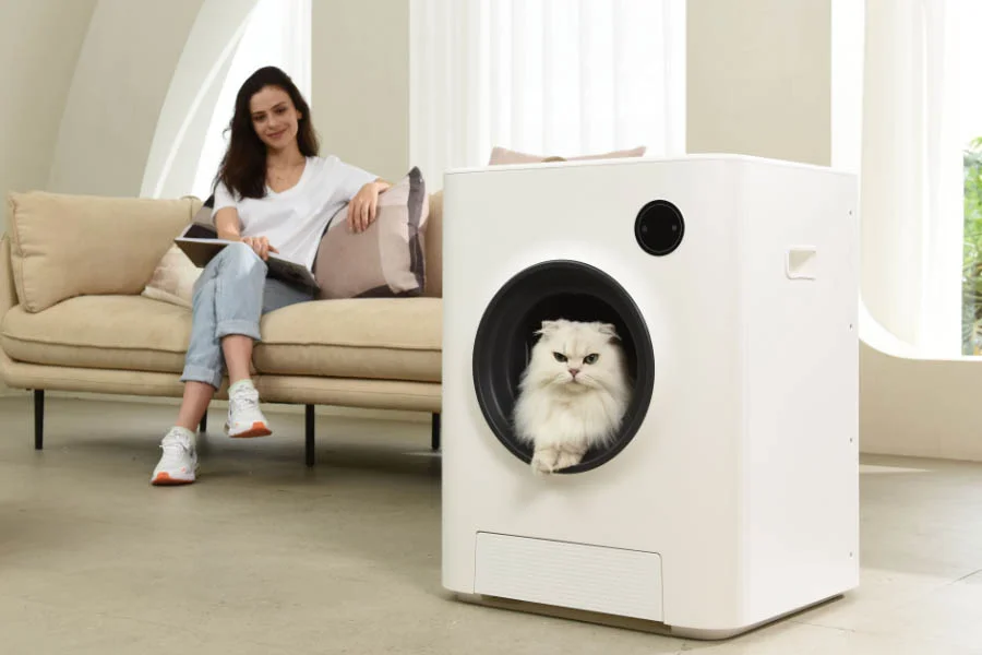 Cat Litter Box