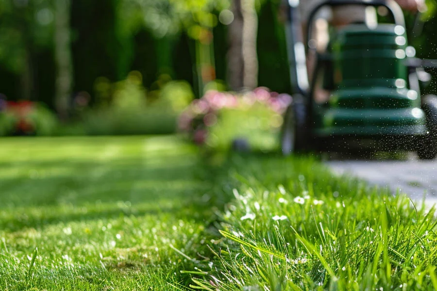 Self Propelled Mower