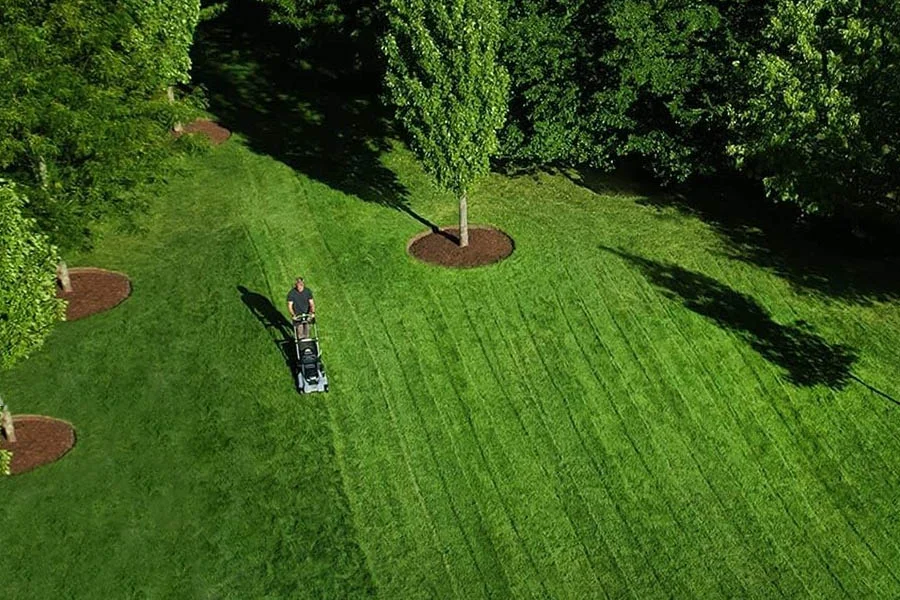 Cordless Lawn Mower